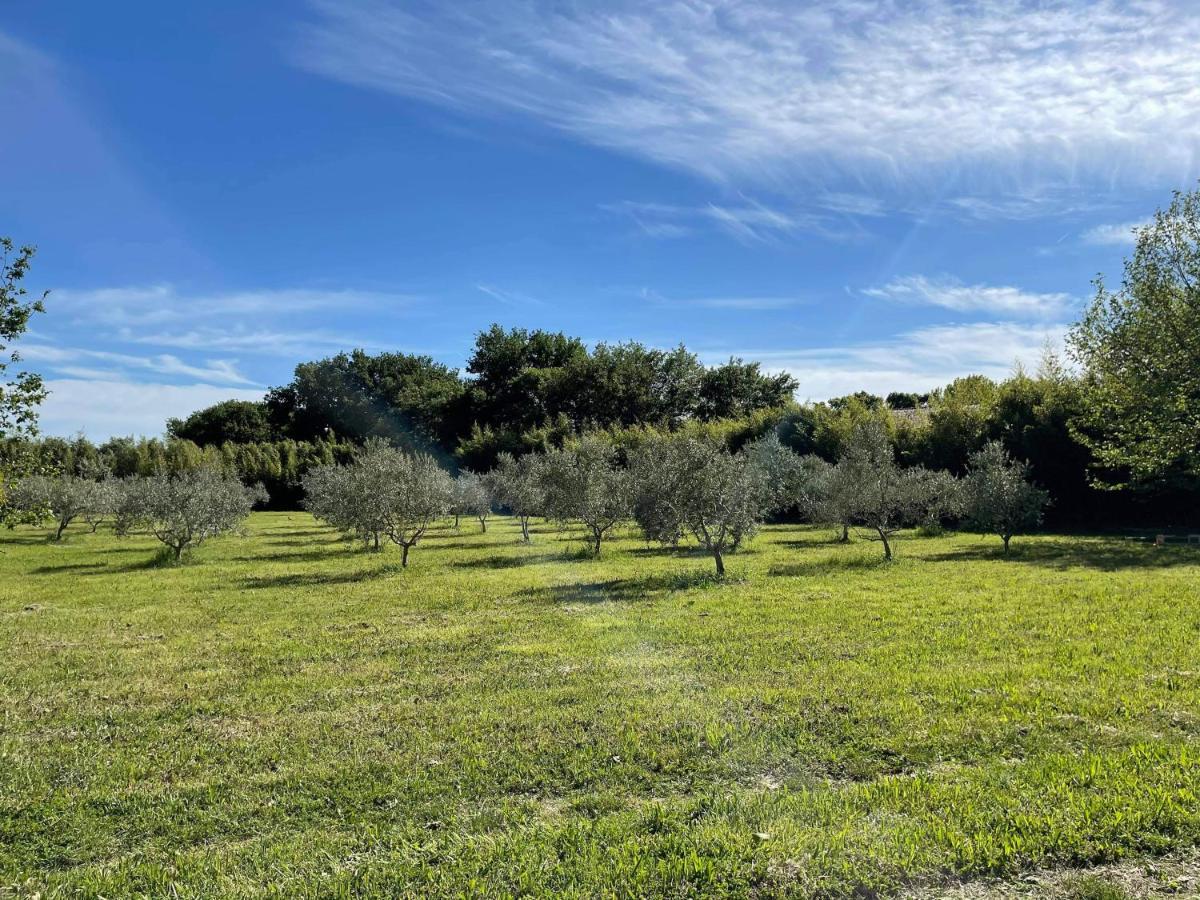De Charme Sud Luberon Classé 4 étoiles * Puyvert